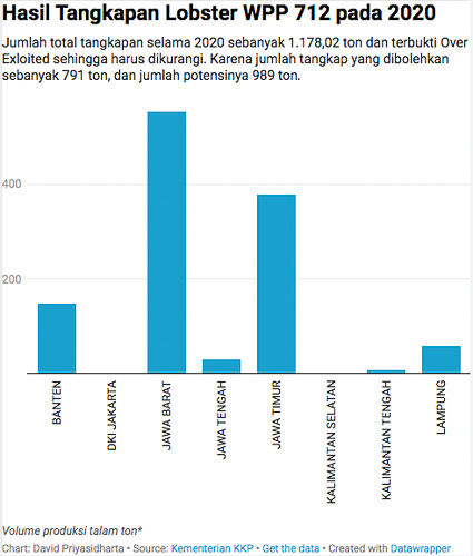 Mengungkap Cerita Over Fishing Lobster di Laut Jawa Melalui Statistik KKP
