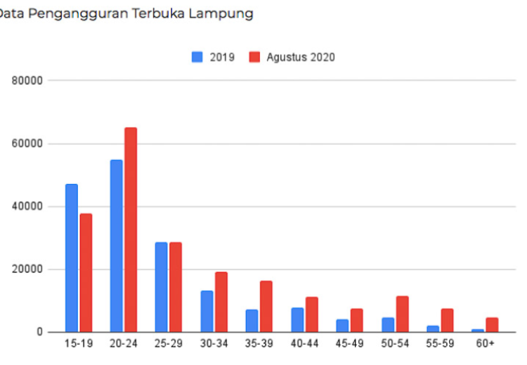 Memvisualisasikan Data Angkatan Kerja dan Pengangguran Terbuka di Lampung saat Pandemi COVID-19 dengan Google Spreadsheet